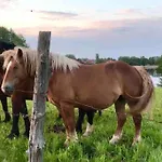 Vakantiehuis Zakatek Na Mazurach Ii
