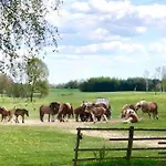 Vakantiehuis Zakatek Na Mazurach Ii Kallinowen