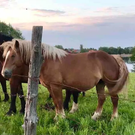 Tatil Evi Zakatek Na Mazurach Ii