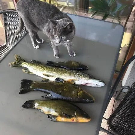 Сasa de vacaciones Zakatek Na Mazurach Ii Kallinowen