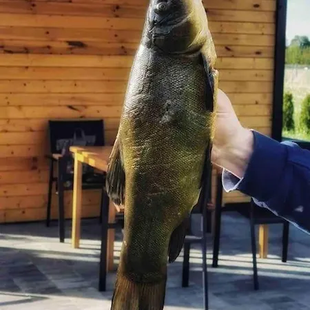 Zakatek Na Mazurach Ii Kalinowo (Elk)